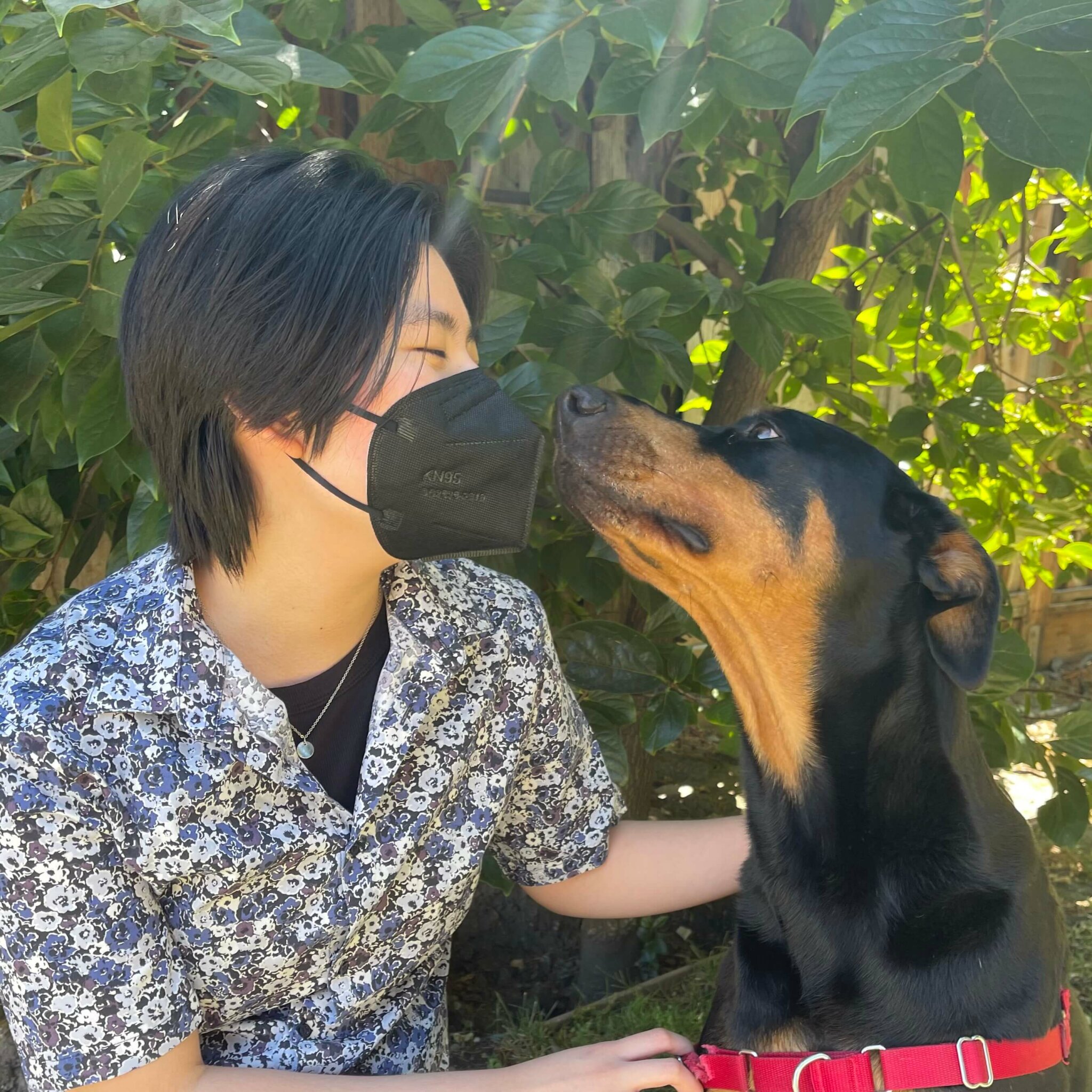 Best Of The Bay Area Meet The Wildwood Vet Hospital Team